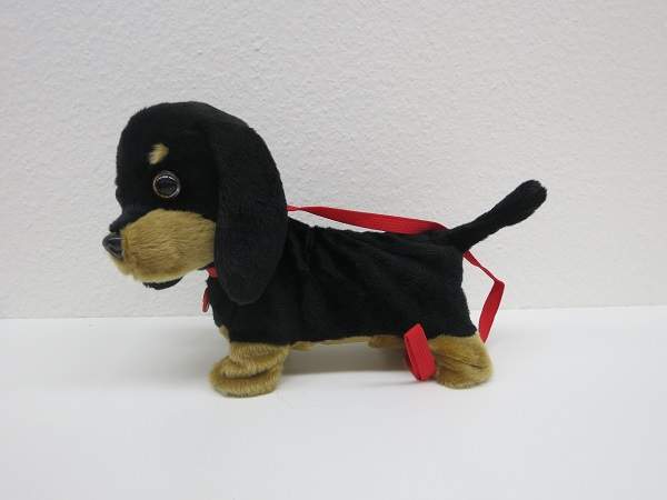 Hund