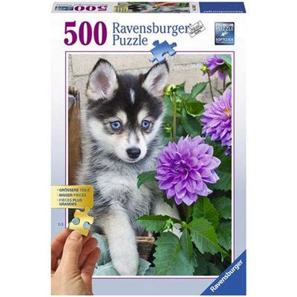 Puzzle Husky
