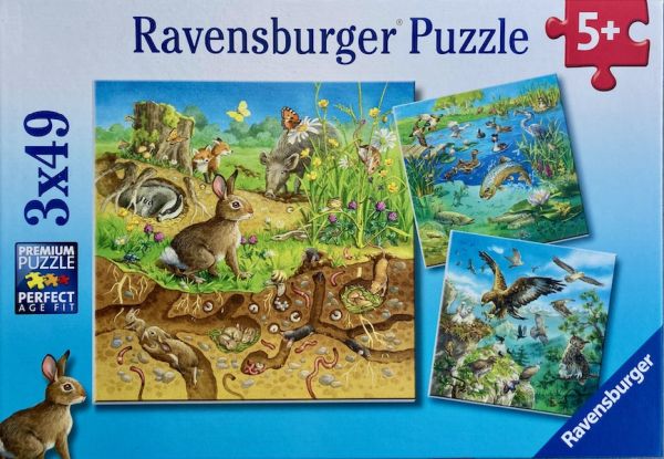 Spiel 10358.0